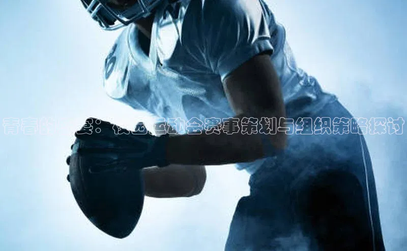 青春的盛宴：校园运动会赛事策划与组织策略探讨