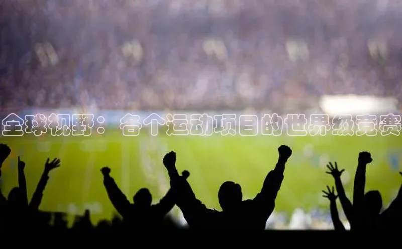 全球视野：各个运动项目的世界级竞赛