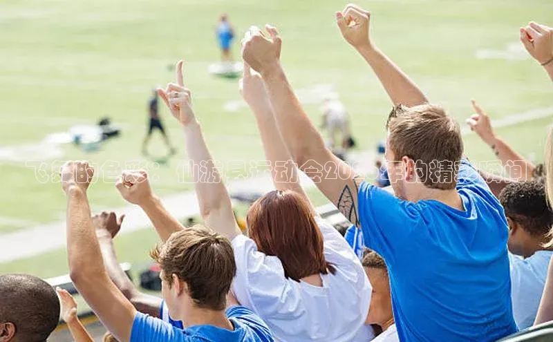 飞舞的色彩：仙游县运动会2026年的精彩瞬间